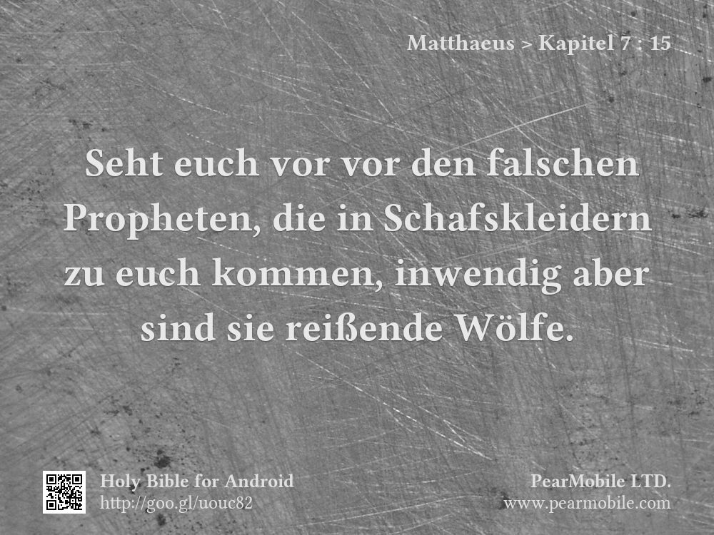 Matthaeus, Kapitel 7:15